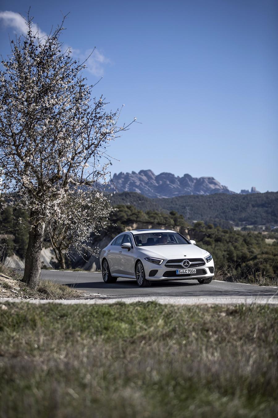  Mercedes-Benz CLS350 d (C257) 2018 года  (WW) (фото 3 из 5)